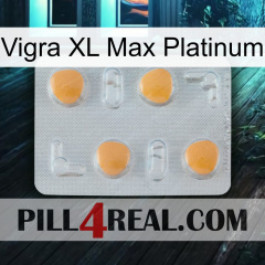 Vigra Xl Max Platinum 24